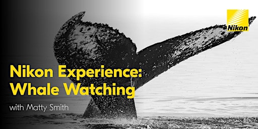 Nikon Experience: Whale Watching with Nikon Ambassador Matty Smith